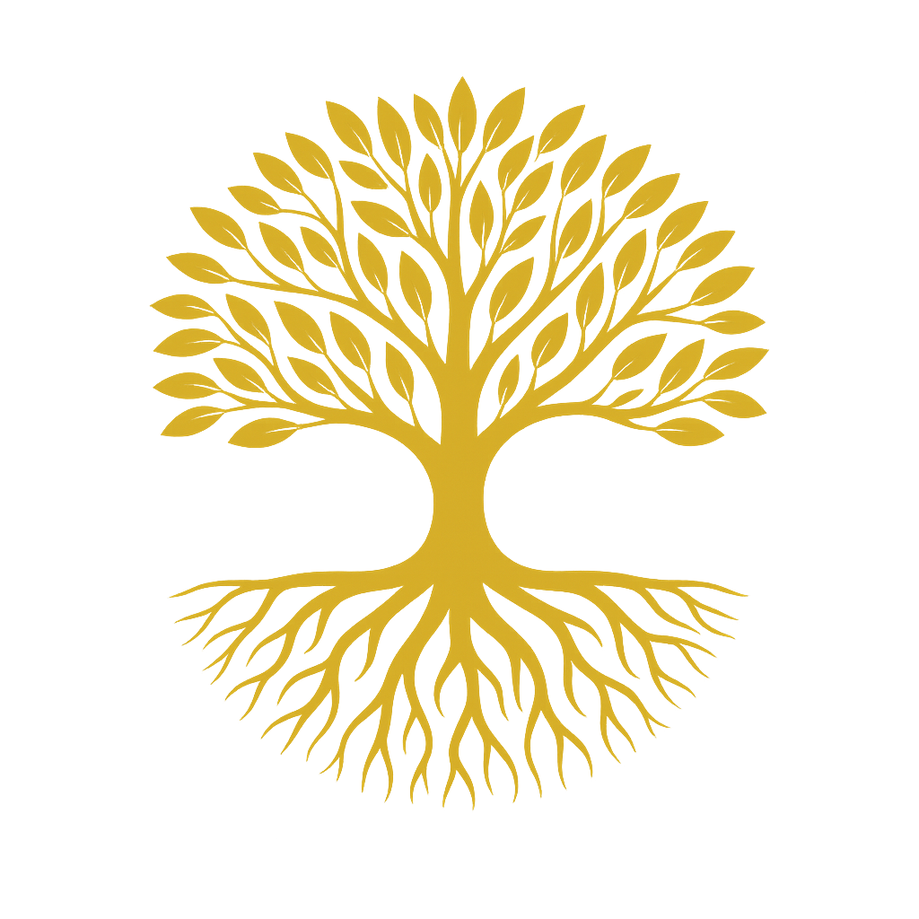 Solutions de financement